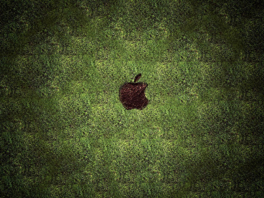 512008 (a): :1600x1200